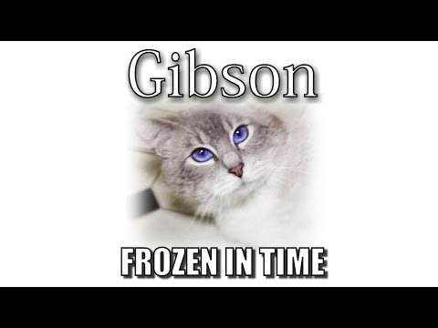 Gibson's Memorial - Frozen In Time