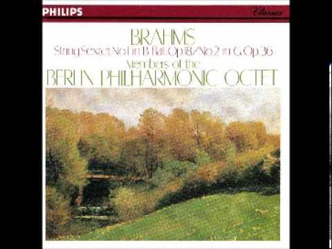 Brahms - Sextet No. 1 & 2 - Members of Berlin Philharmonic Octet