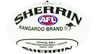 Sherrin 22cm Supa Soft Ball - White