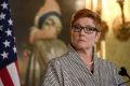 Defence Minister Marise Payne has delivered a blistering rebuke to Tony Abbott over his call to consider nuclear subs. 