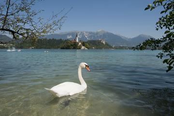 Zakaj se denar izogiba slovenskega turizma?