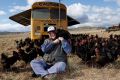 Papanui farm uses buses converted into mobile chicken coops to move the birds around their farm and produce 'open range' ...