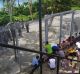 Refugees at the Manus Island regional processing centre protesting earlier this month. 