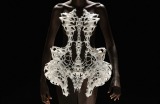 Iris van Herpen’s Skeleton dress, created in collaboration with Belgian artist Isaïe Bloch. 