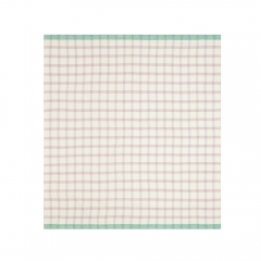 Baby Blanket Grid - Pink/Green 