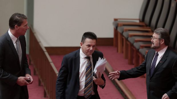 Crossbench senators Cory Bernardi, Nick Xenophon and Derryn Hinch have called for a full audit of parliamentarians' ...