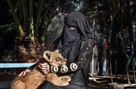 From Jordanian photographer Tanya Habjouqa's "Occupied Pleasures" series: a woman plays with two baby lion cubs in the ...