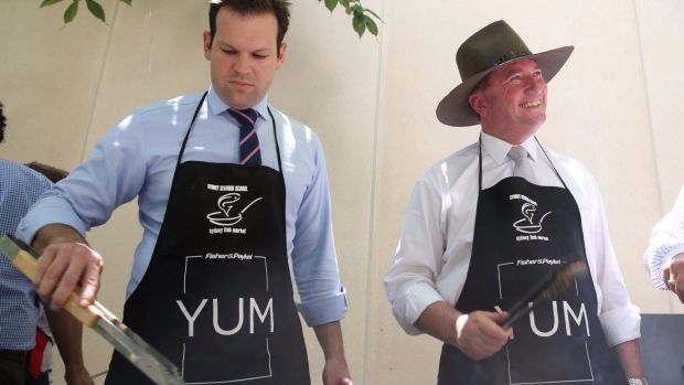 Facing citizenship challenges: Matthew Canavan and Barnaby Joyce.