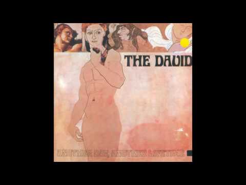 The David - Mirrors of Wood