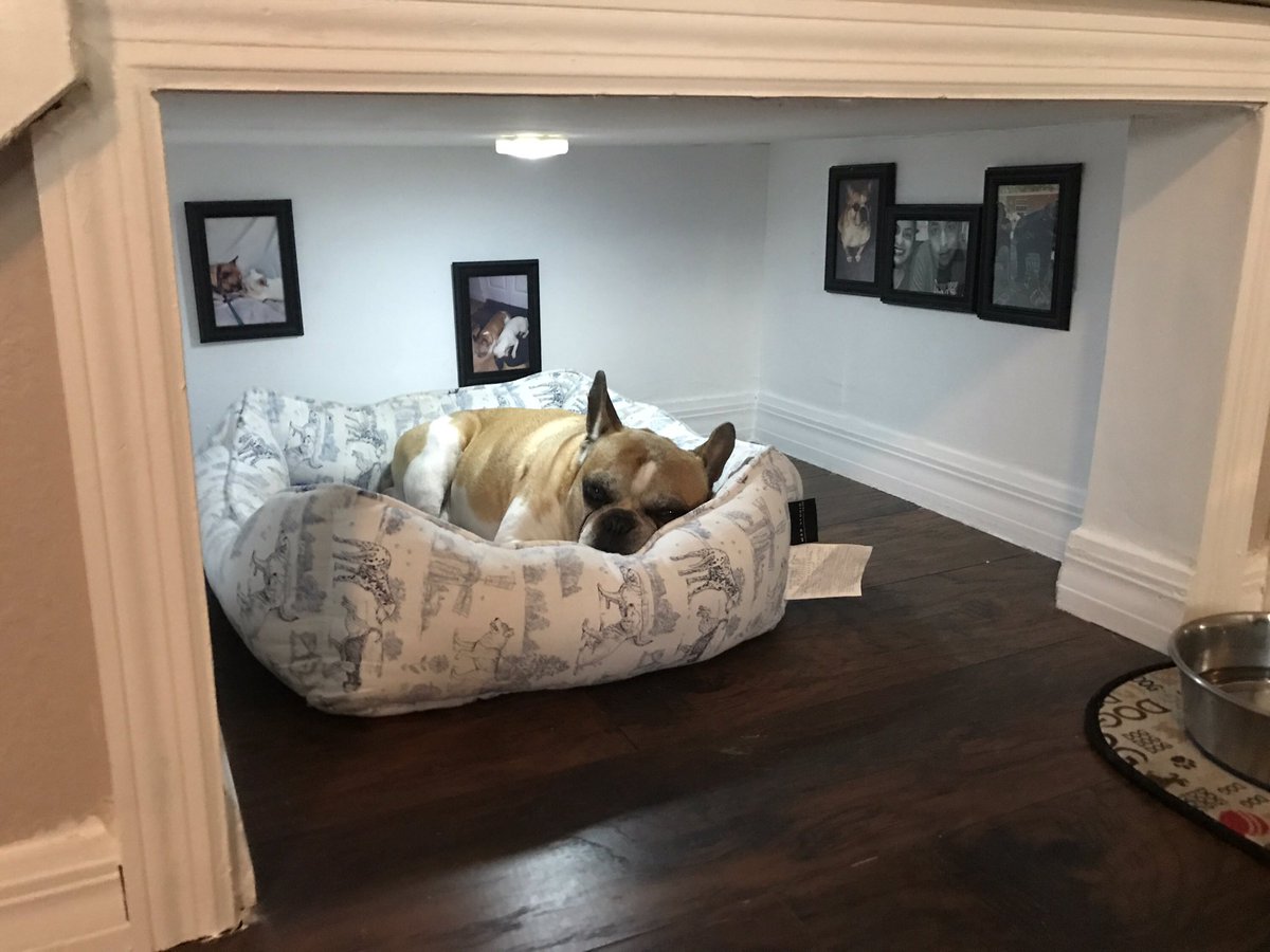 When you build your dog its own room 