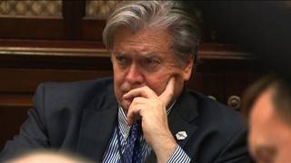 Bannon close up