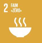 SDG 2