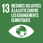 SDG 13