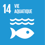 SDG 14