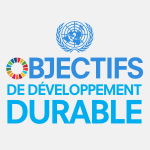 SDG logo