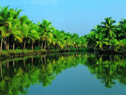 Kochi (Cochin), India