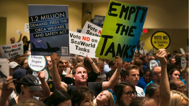 Animal rights activists hold up signs during a California Coastal Commission meeting in Long Beach, California.