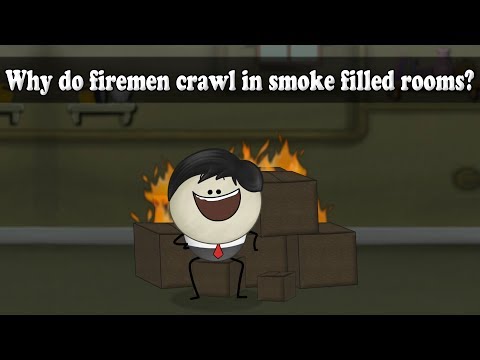 Density - Why do firemen crawl in smoke filled rooms?