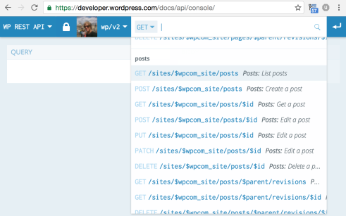 wpcom-wp-rest-api-2-cropped