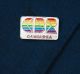 ACT Chief Minister Andrew Barr's rainbow CBR pin.