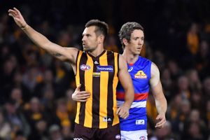 Luke Hodge and Bob Murphy on Friday night.