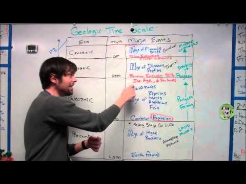 Quick Overview Geologic Time Scale