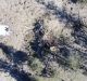 Land-clearing north of Moree in NSW. 