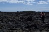 Hellscape: Endless volcanic plains on the island of Isabela.