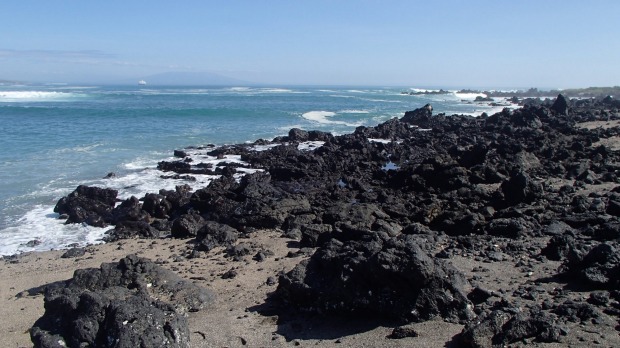 Volcanic rocks line the coasts of many of the Galapagos islands.