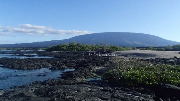 Volcano born: The island of Fernandina in the Galapagos.