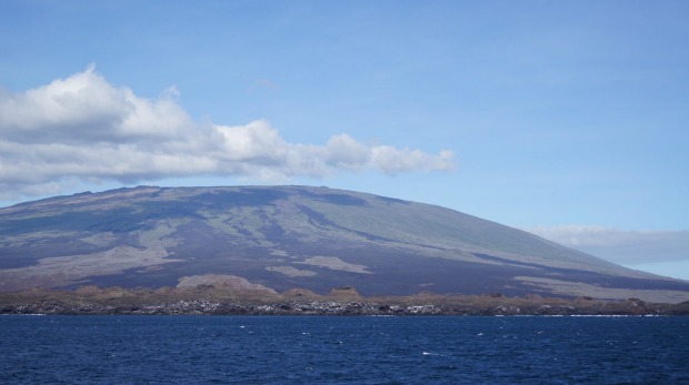 The Galapagos Islands were formed by volcanic eruptions and vary greatly in age.