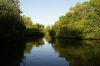 The landscapes vary greatly, from bare volcanic rock to thick mangroves.