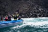 Passengers explore the coastline.