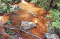 Downstream of the Berrima Coal mine.