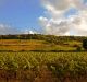 A river of red wine has been dumped in the streets of Languedoc.