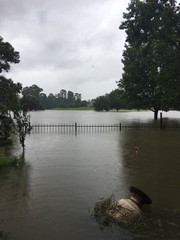 A photo of flooded yard.