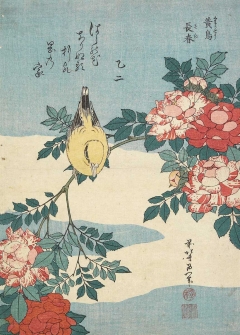 Japanese Nightingale and Spray of Roses, c. 1832