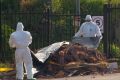 An emergency HAZMAT crew respond to dumped building material found on a Sydney suburban back street in May.