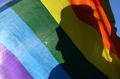 Counselling services have recorded an increase in calls from the LGBT community due to the same-sex marriage plebiscite.