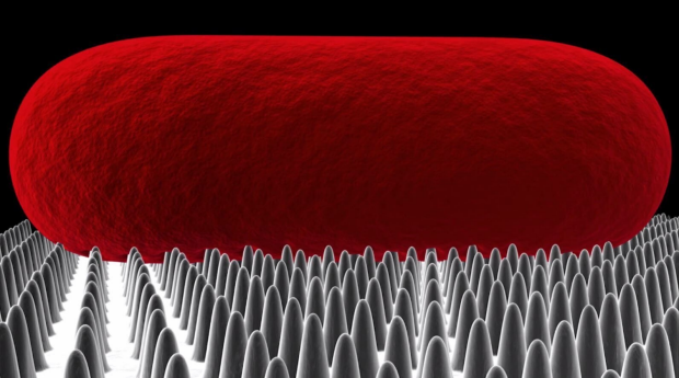 This is a simulated image of a bacteria cell hitting the nanomaterial and being ruptured. Image supplied by Swinburn University.