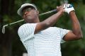 Home-town hero: Vijay Singh. If ever there was the perfect mix of beauty and brutality, he has found it in 18 holes ...