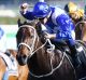 Close call: Winx charges home to claim a narrow win after missing the start in the Warwick Stakes.