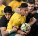 The Wallabies put up a gallant fight against the All Blacks, restoring some pride after the Bledisloe Cup opener.