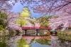 Himeji Castle during spring cherry blossom season, Japan.