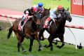 Jockey Ben Melham riding Missrock (Left) to beat Heatherly ridden by Damian Lane for the Race 7 win.