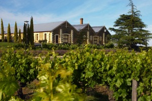 Wynns Coonawarra Estate is one of Australia's most-valued wineries. 