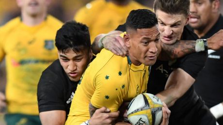 The Wallabies put up a gallant fight against the All Blacks, restoring some pride after the Bledisloe Cup opener.