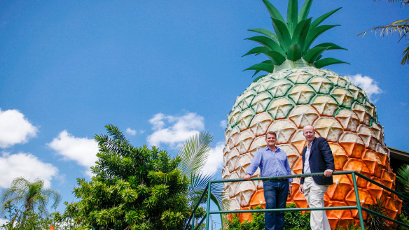 The Big Pineapple 're-imagined' with new food hubs and adventure parks