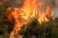 A crew with Cal Fire battles a brushfire on the hillside in Burbank, California, on Saturday. 