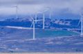 Sheep graze in front of wind turbines near Canberra.  The ACT has been heralded as one of the frontrunners in the ...